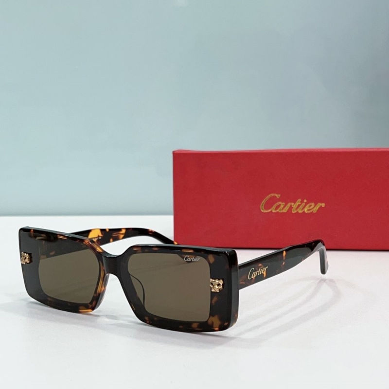 Cartier Sunglasses